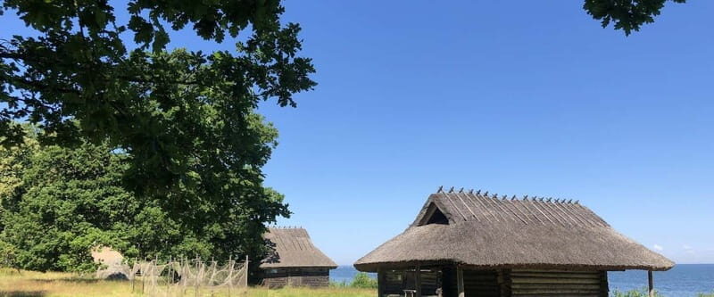 Estonian Open Air Museum  Cultural VIP tour from Tallinn - Exploring the Estonian Open Air Museum: A Detailed Look
