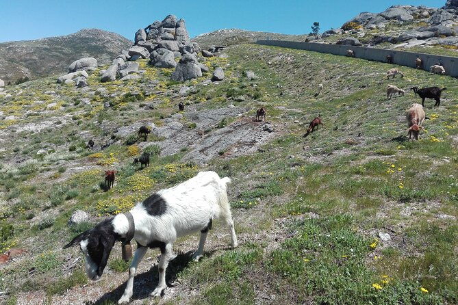 estrela-mountain-full-day-from-coimbra-2