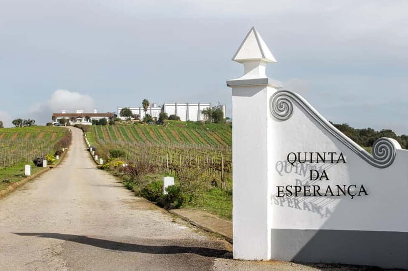 Estremoz, Alentejo, Portugal: Wine tour & Wine tasting - An Authentic Taste of Alentejo in Estremoz