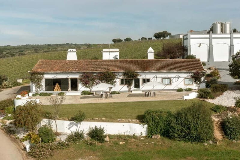 Estremoz, Alentejo, Portugal: Wine tour & Wine tasting - The Tour Experience: What to Expect