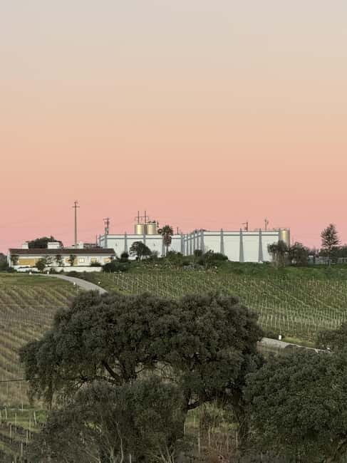 Estremoz, Alentejo, Portugal: Wine tour & Wine tasting - Pricing and Value