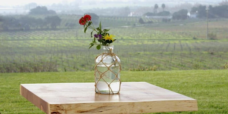 Estremoz, Alentejo, Portugal: Wine tour & Wine tasting - Why You Should Consider This Tour