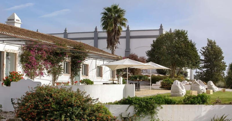 Estremoz, Alentejo, Portugal: Wine tour & Wine tasting - Final Thoughts