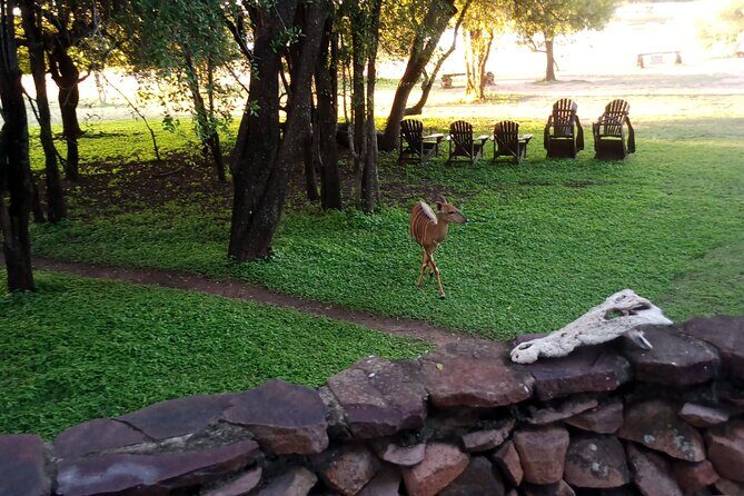 Eswatini full day trip from Maputo - The Full Experience: What to Expect on This Day Trip