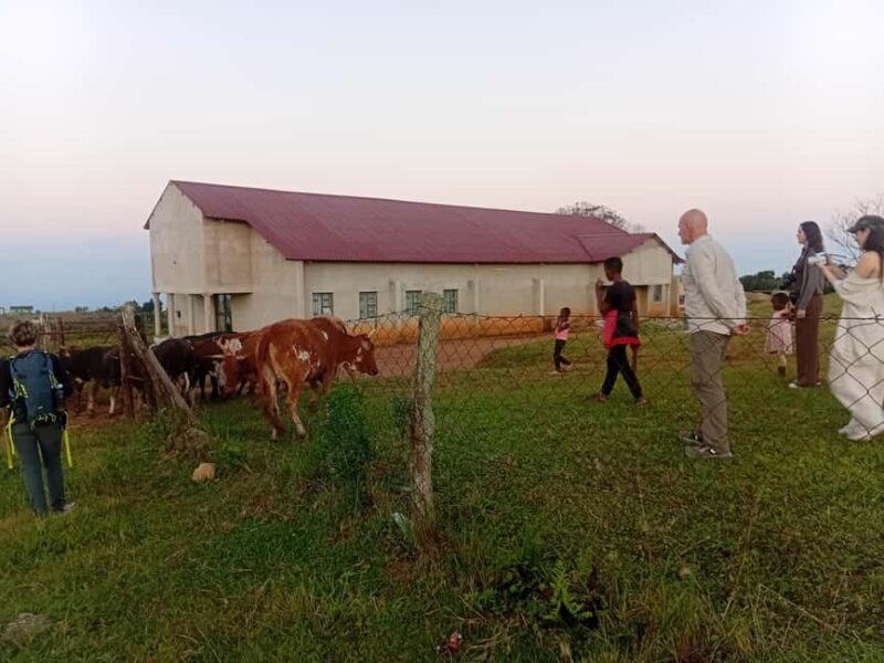 Eswatini: Overnight Stay in a Traditional Swazi Village - FAQ