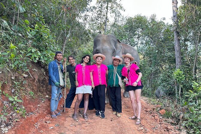 Ethical Elephant Observation Half Day from Chiang Mai - Ethical Elephant Observation Half Day from Chiang Mai: A Genuine Connection with Thailand’s Gentle Giants