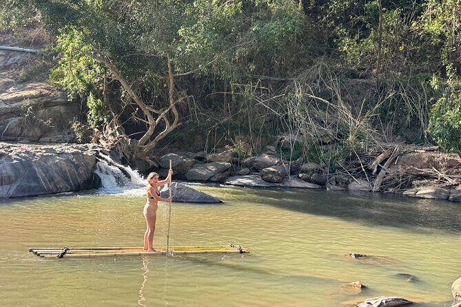 Ethical Elephant Observation Half Day from Chiang Mai - Why Choose This Tour?