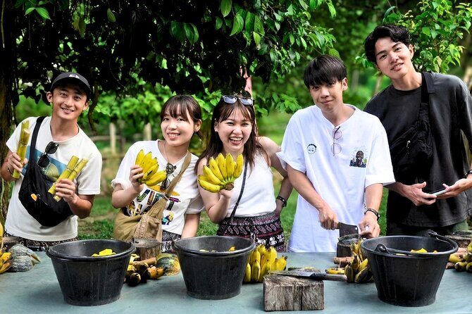 Ethical Elephant Sanctuary from Phuket (NO RIDE) - Authentic Experiences from Reviews