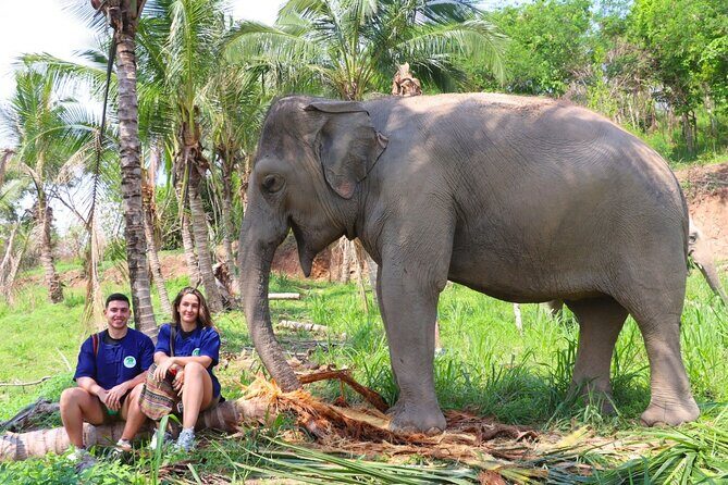 Ethical Elephant Sanctuary Tour from Bangkok & Pattaya - Key Points