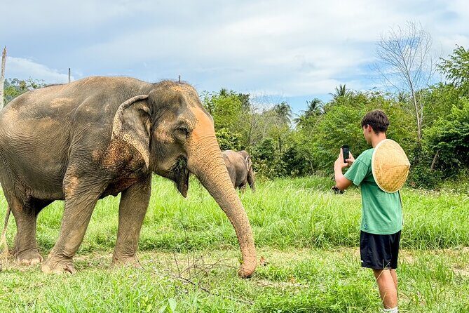 Ethical Elephants Sanctuary and Coconut Experience in Koh Samui - What to Expect from the Tour
