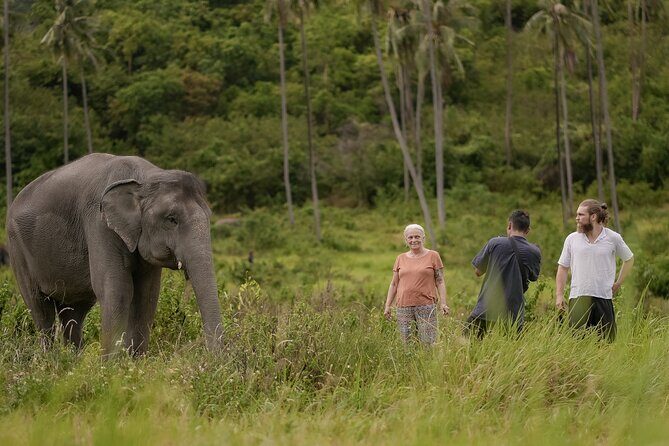 Ethical Elephants Sanctuary and Coconut Experience in Koh Samui - Final Thoughts