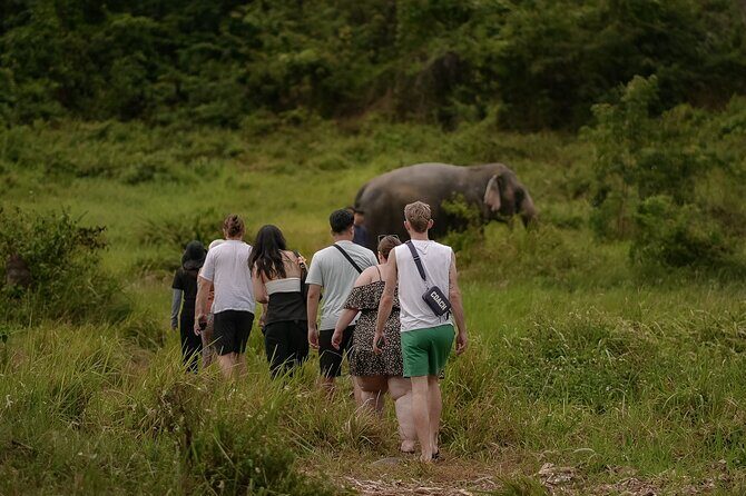 Ethical Elephants Sanctuary and Coconut Experience in Koh Samui - FAQ
