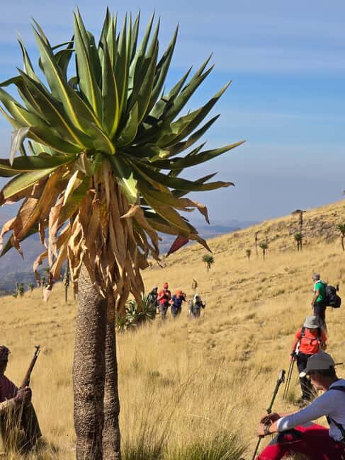 Ethiopia: 29-Day Tour of the North, East, & South - FAQs