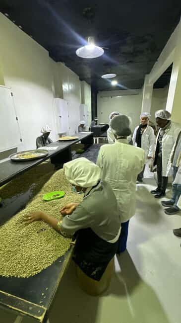 Ethiopia coffee cupping class/Ethiopian food injera making - An In-Depth Look at the Experience