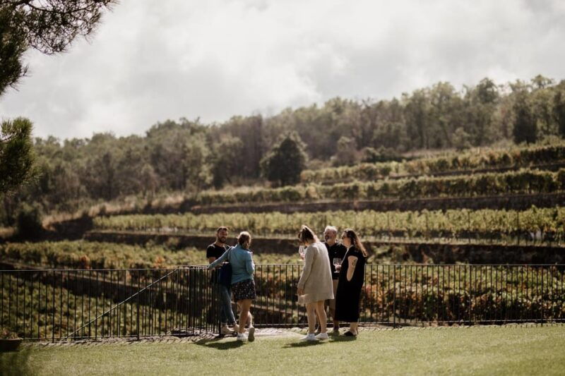 etna-4x4-excursion-with-winery-lunch-from-catania-and-taormina