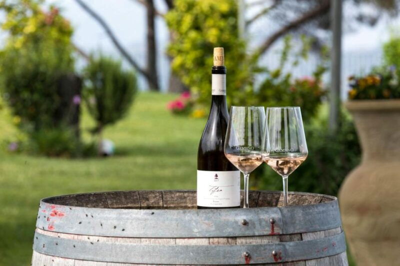etna-4x4-wine-tasting-tour
