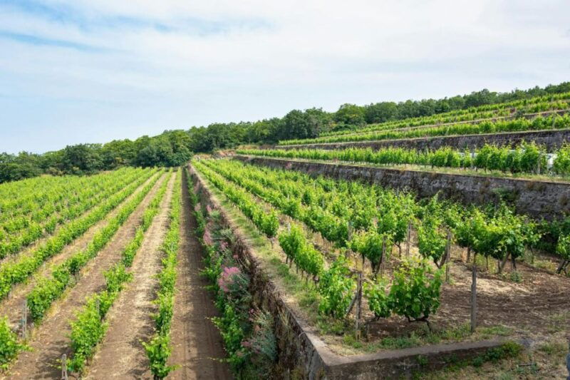 etna-4x4-wine-tasting-tour
