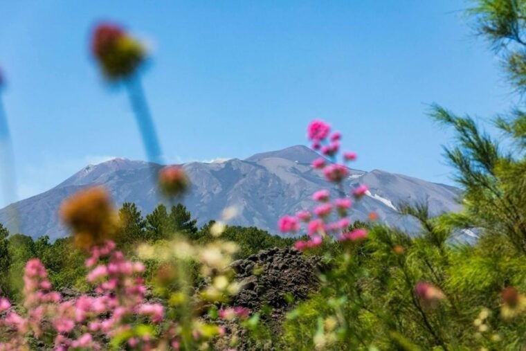 etna-4x4-wine-tasting-tour