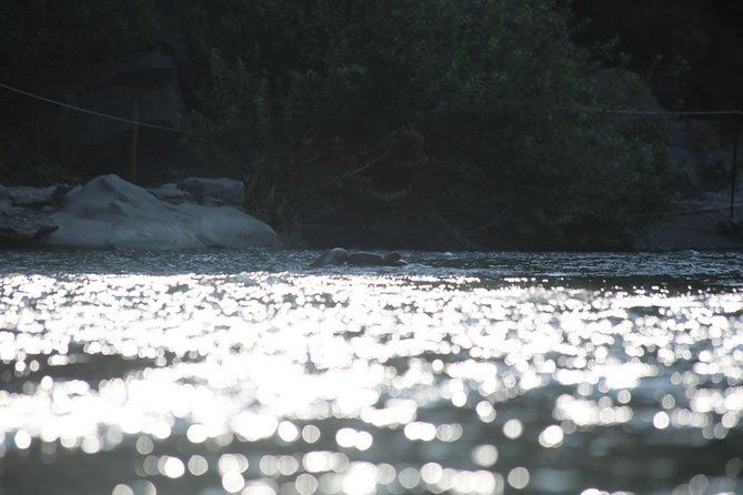 etna-alcantara-tour-experience