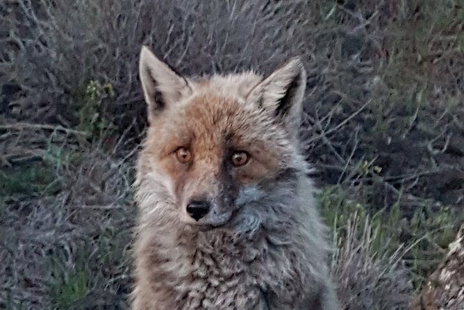 etna-and-surroundings-2
