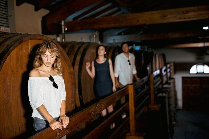 Etna Countryside Food & Wine Lovers Tour (Small Group or Private) - Who Will Love This Tour?