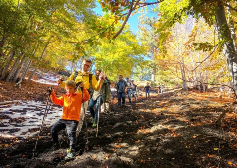 etna-craters-of-the-2002-eruption-trekking-experience