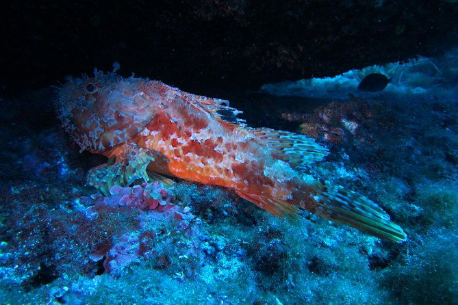 etna-diving-jeep-tour
