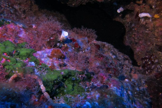 etna-diving-jeep-tour