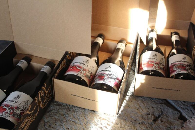 etna-doc-board-of-local-products-with-tasting-of-etna-wines