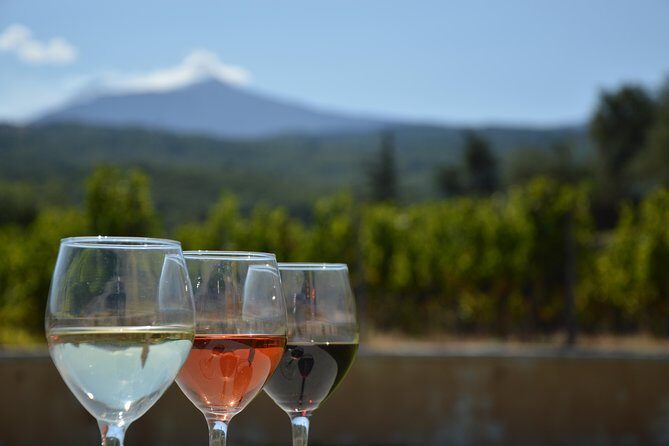 Etna DOC & Organic Wine tasting and tour of the 1815 historic winery - A Tour That’s Both Educational and Cozy