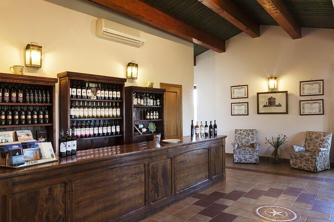 Etna DOC & Organic Wine tasting and tour of the 1815 historic winery - Who Will Love This Experience?