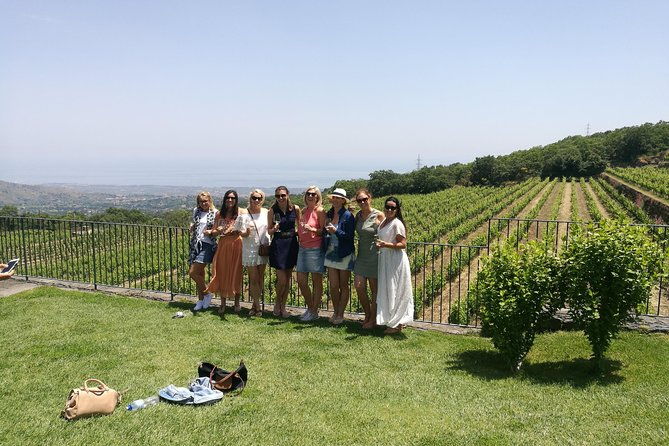 etna-excursion-and-lunch-wine-tasting-in-etna-doc-vinery