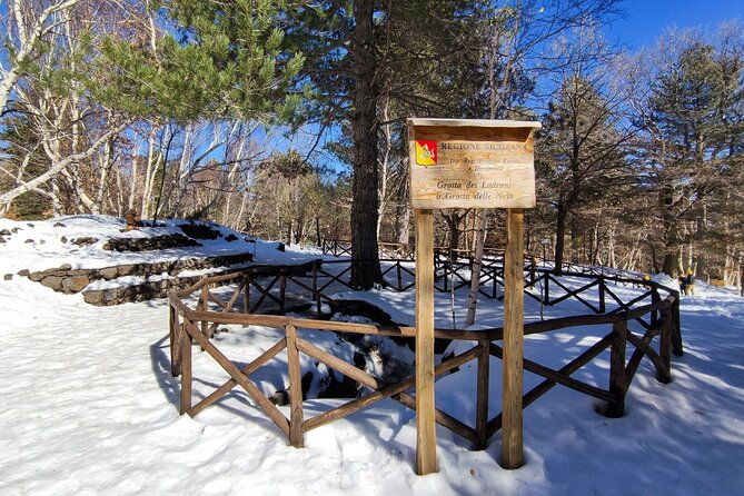 etna-excursion-and-wine-tasting-with-sicilian-lunch-2