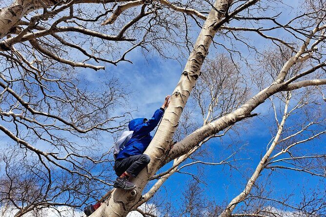 Etna Family Tour Excursion for families with children on Etna - An In-Depth Look at the Tour
