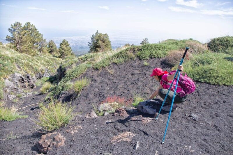etna-family-tour-private-excursion-on-etna-mt-for-families