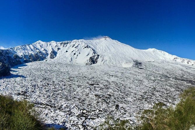Etna Grantour - 4x4 & trekking - Private tour with lunch included - Who Is This Tour Best Suited For?