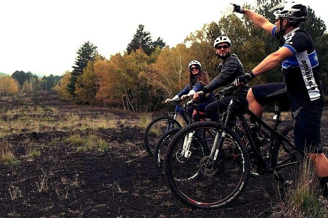 Etna in MTB Half day small group - Why You Should Consider This Tour