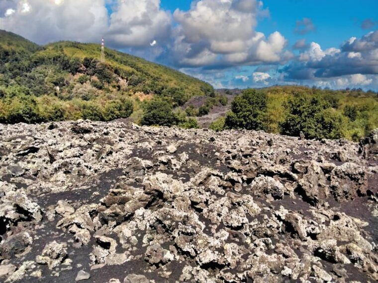 etna-monti-sartorius-ancient-wine-cellar-slow-food-tasting