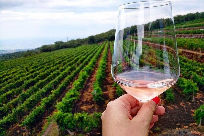 etna-panoramic-private-tourwine-tastefood-combinationamazing