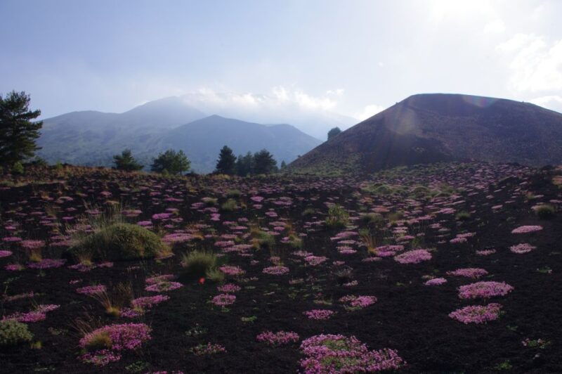 etna-private-sunset-tour-with-prosecco