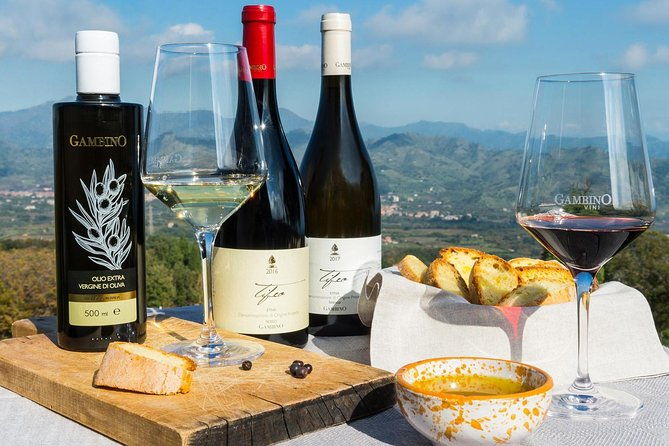 etna-private-tour-from-messina-cruise-terminal-lunch-at-winery