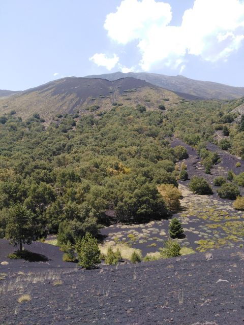 etna-private-tour-with-wine-tasting-and-lunch