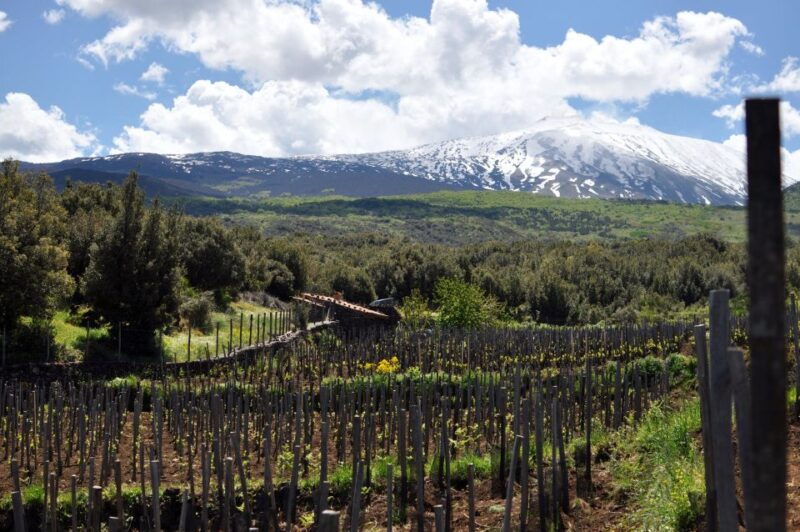 etna-quad-wine-combo-private-tour