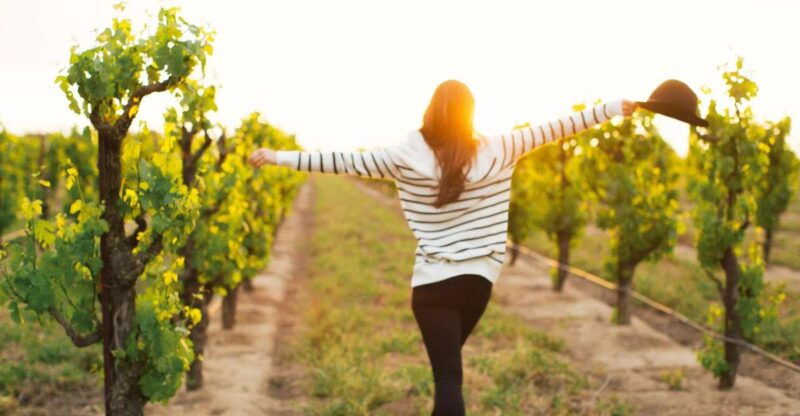 etna-quad-wine-combo-private-tour