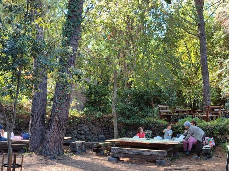 Etna & Sea: Pic Nic in Batia - Final Thoughts: Why It’s a Great Choice