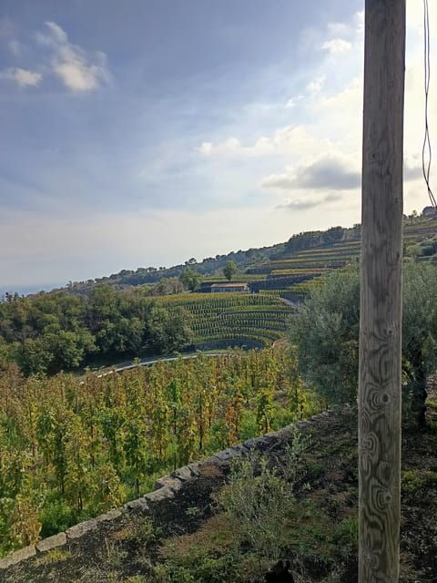 etna-south-tour-with-light-trekking-wine-tasting-and-lunch-from-catania