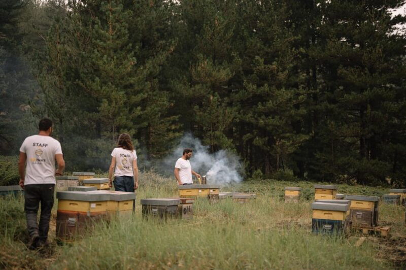 etna-the-magic-world-of-bees-tour