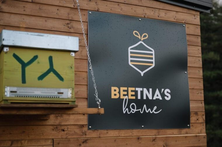 etna-the-magic-world-of-bees-tour