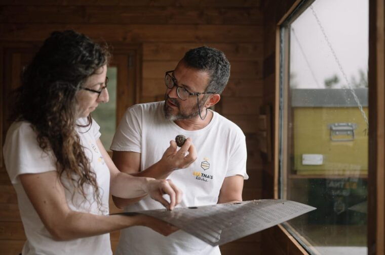 etna-the-magic-world-of-bees-tour