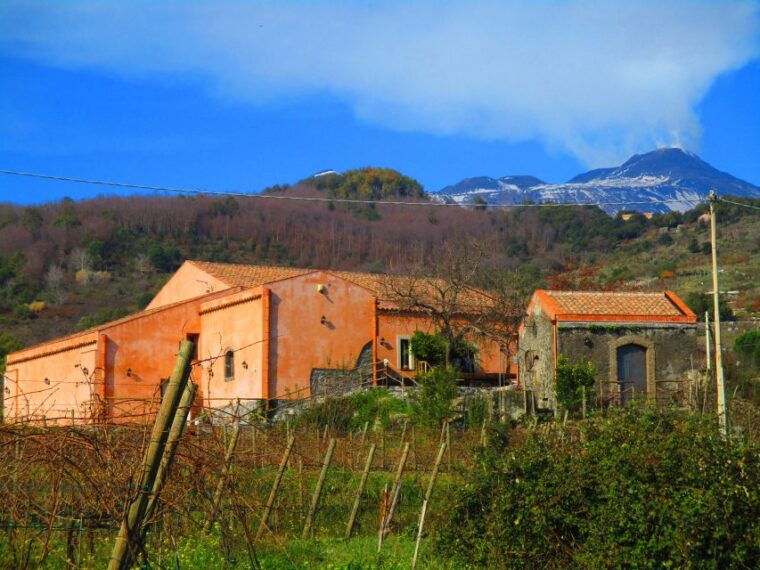 etna-tour-in-a-vintage-car-with-cooking-class-and-pickup